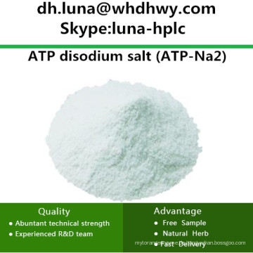 China Versorgung CAS: 987-65-5 ATP-Na2 / ATP Dinatrium Salz Adenosin